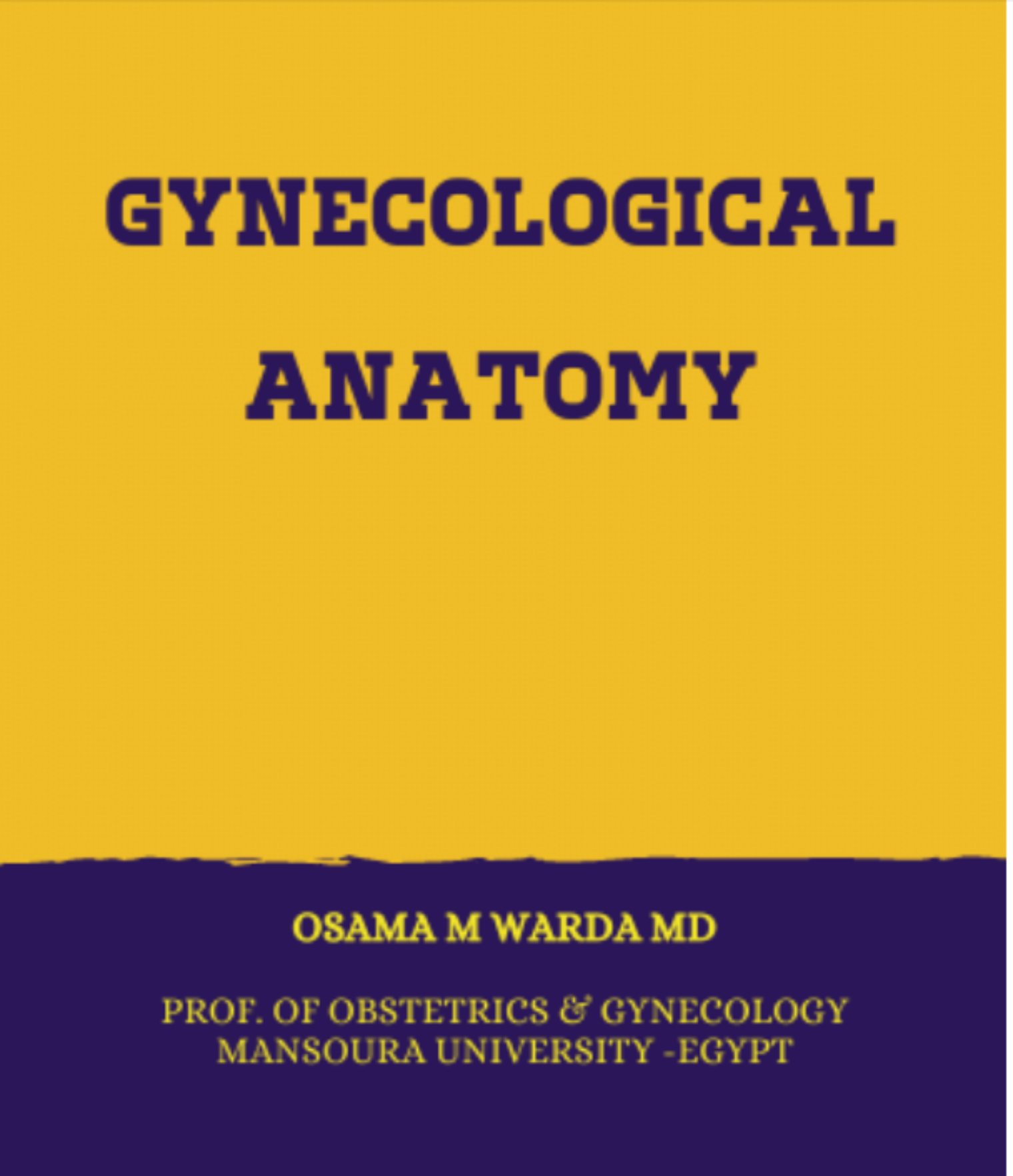 GYN ANATOMY WARDA